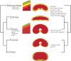 Fig. 8.