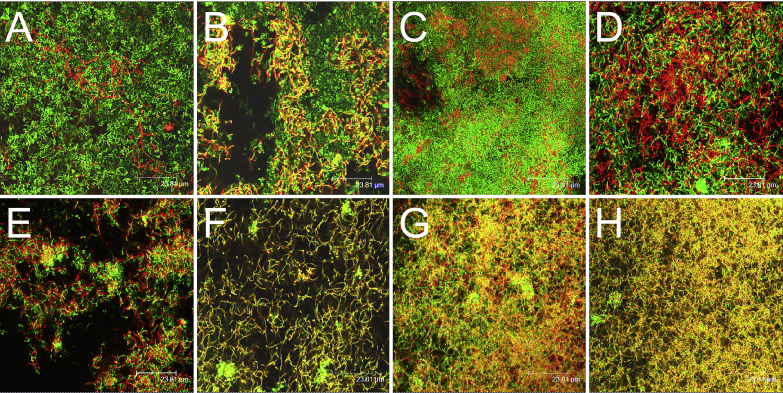 Figure 4