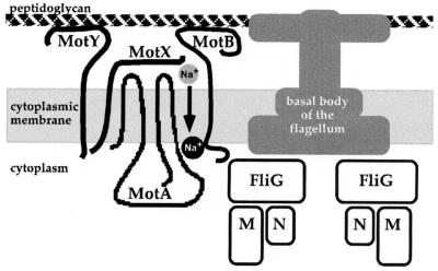 FIG. 8