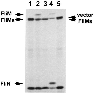 FIG. 3