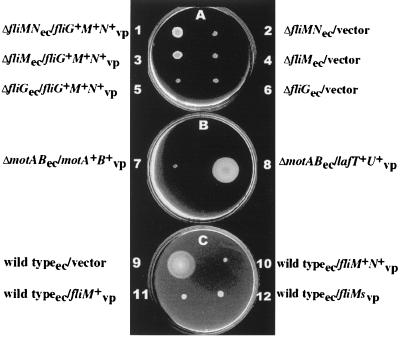 FIG. 4