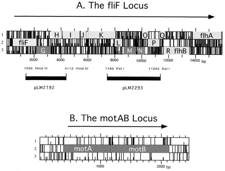 FIG. 1