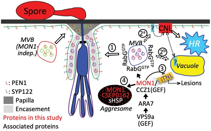 Fig. 7.