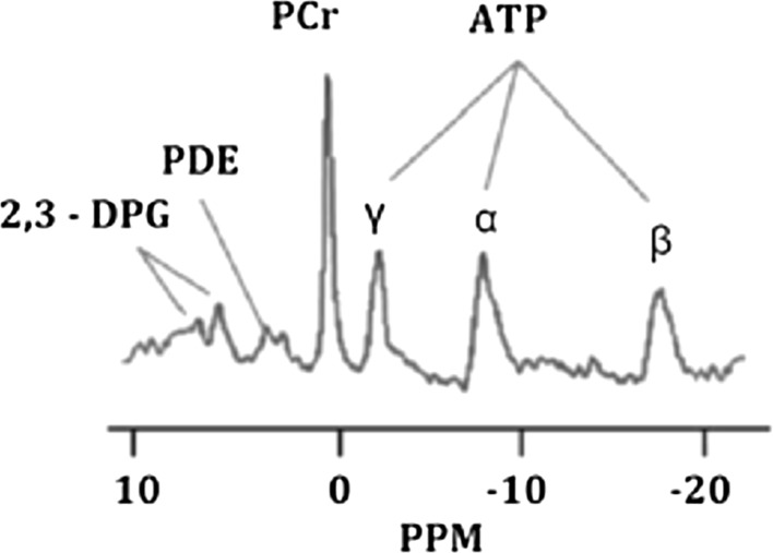 Fig. 7