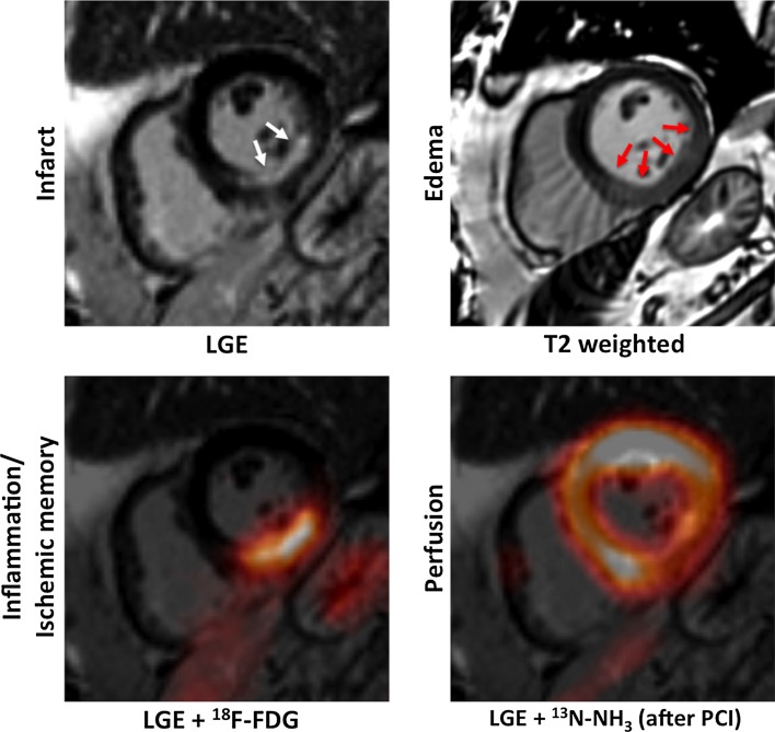 Fig. 8