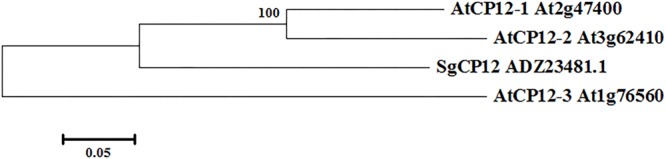 FIGURE 2