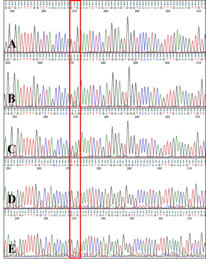 Figure 4.