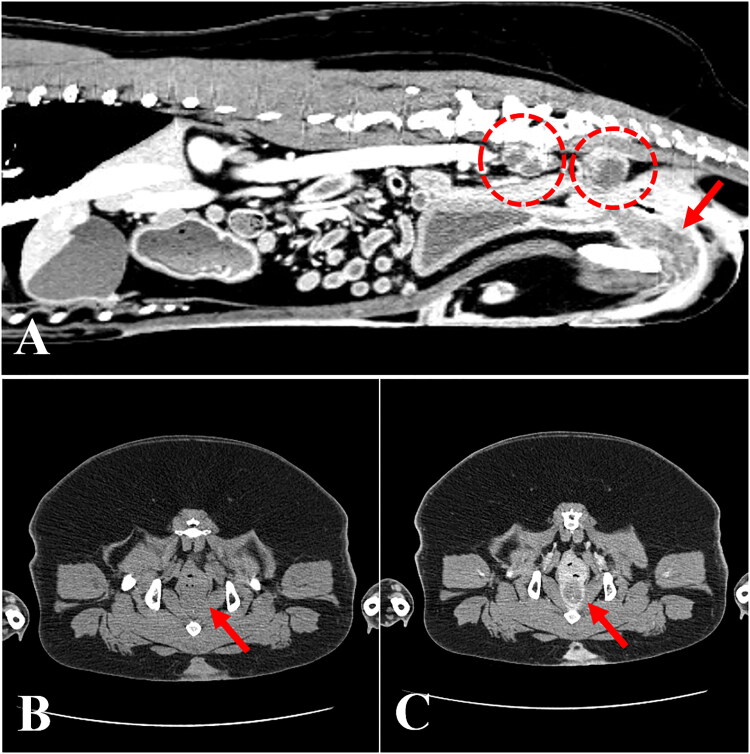 Figure 1.