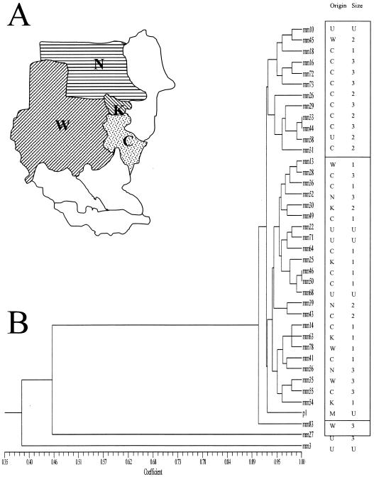 FIG. 1.