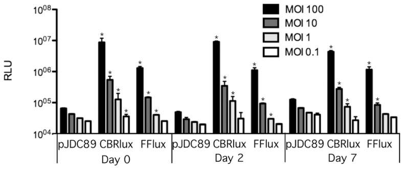 Figure 2