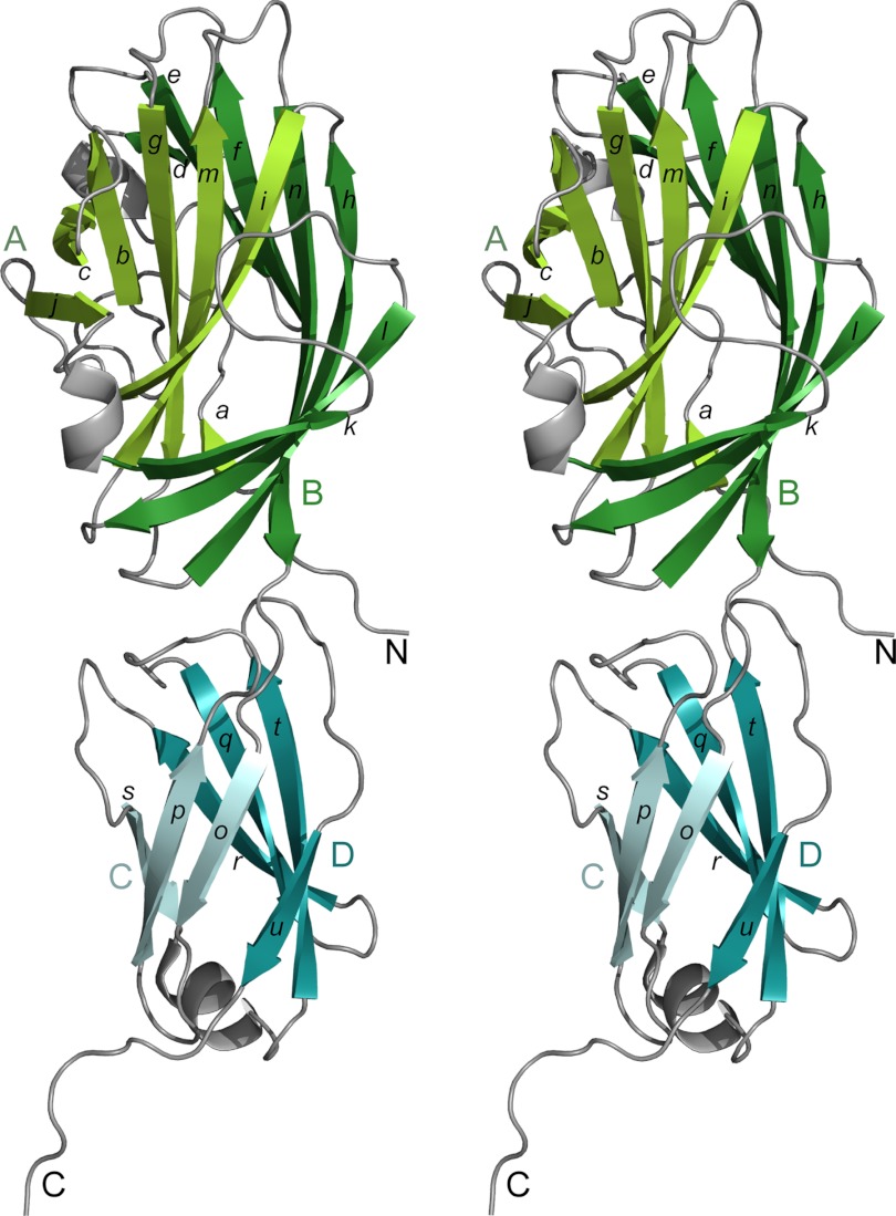 FIGURE 3.