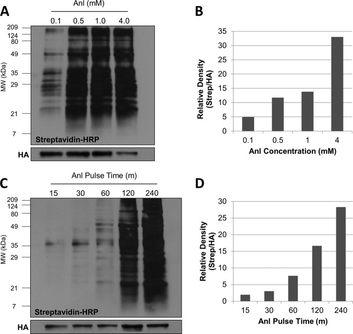 FIG 4 