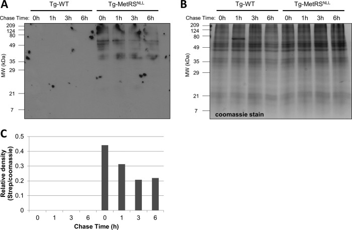 FIG 3 