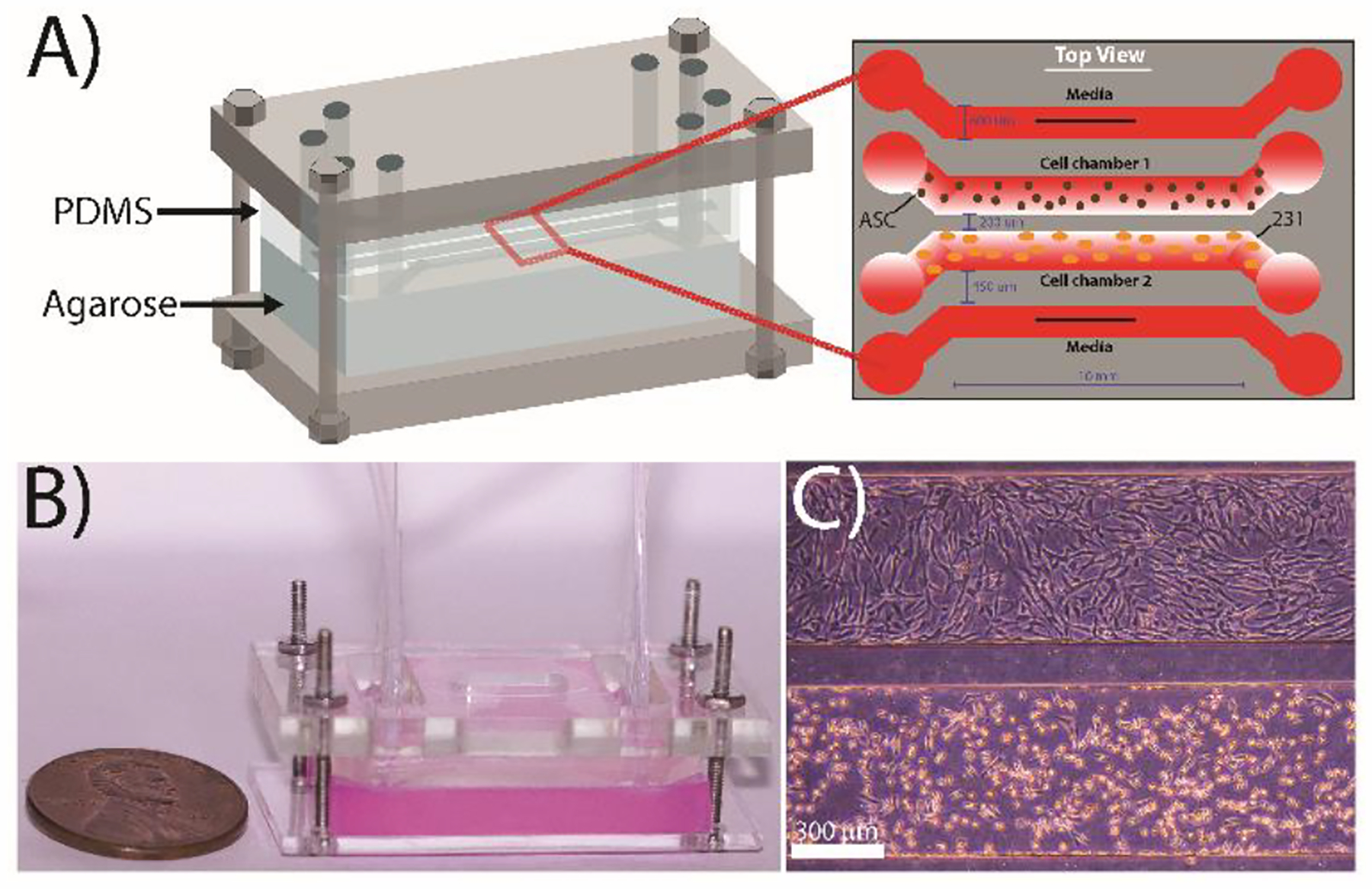 Figure 1: