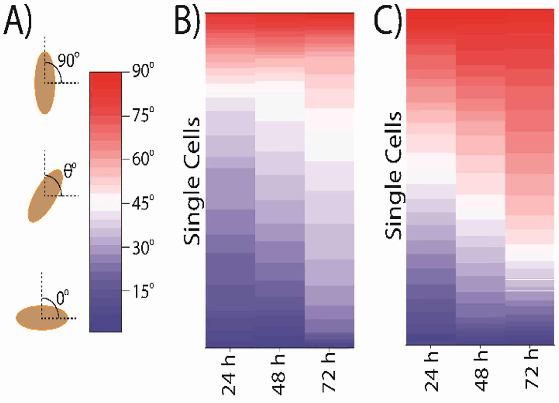 Figure 5: