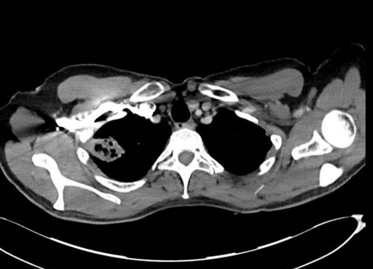 Fig. 6.