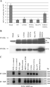 FIG. 6.