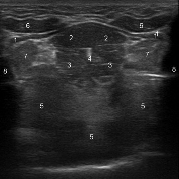 Fig. 8