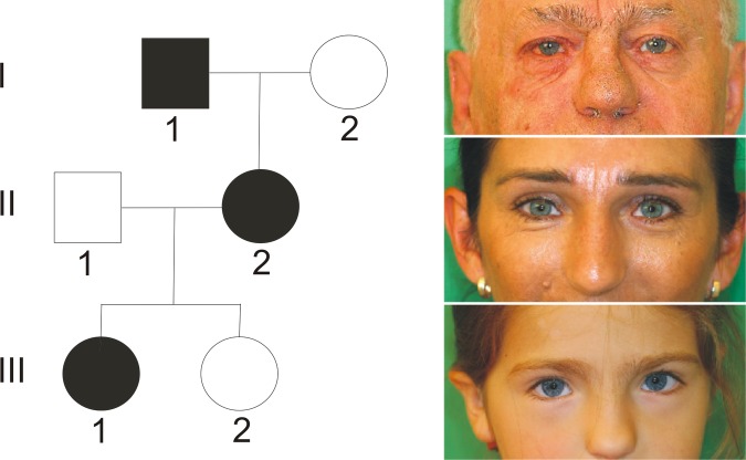 Figure 3