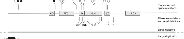 Figure 2