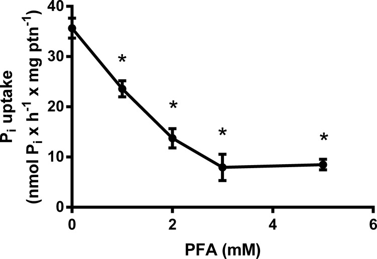 Fig 5