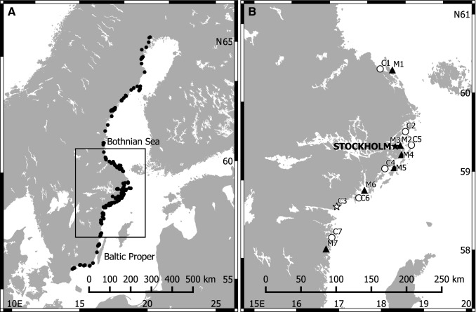 Fig. 1