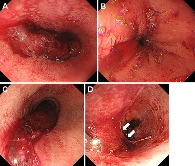 Figure 5.