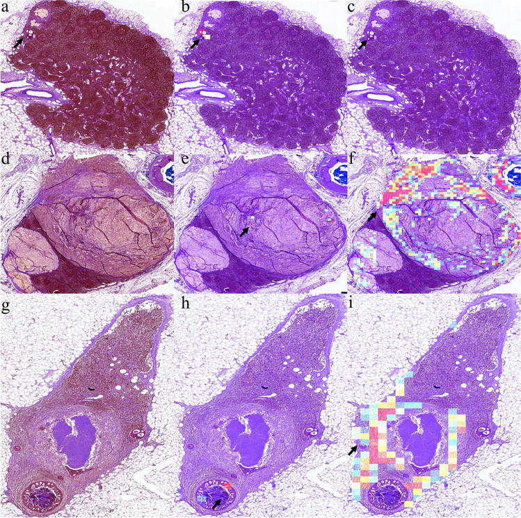 Fig. 9