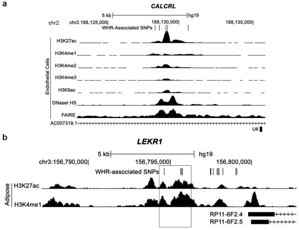 Extended Data Figure 5