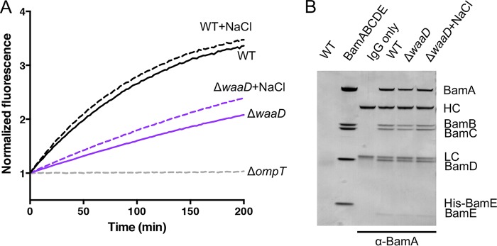 FIG 1