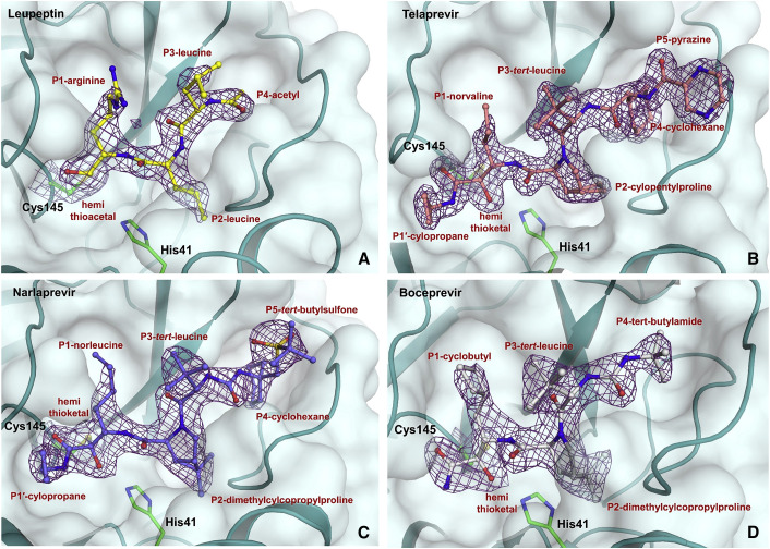 Figure 2