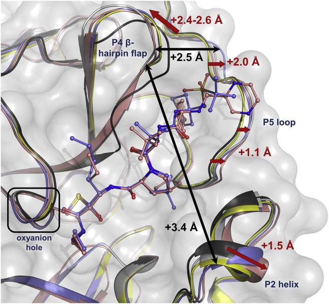 Figure 4