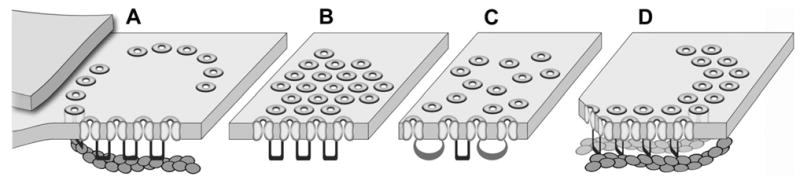 Fig. 14