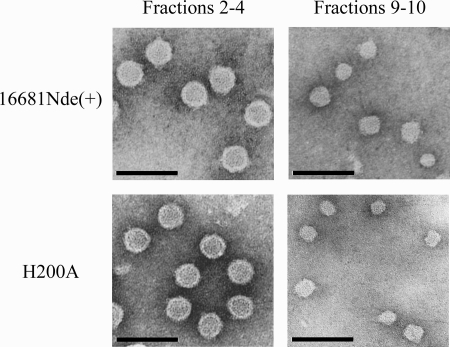 FIG. 7.