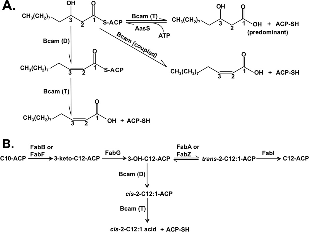 Fig. 9