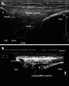 Figure 23