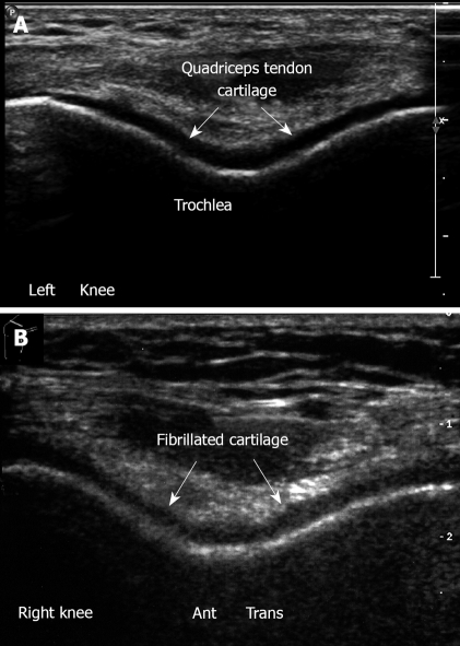 Figure 24