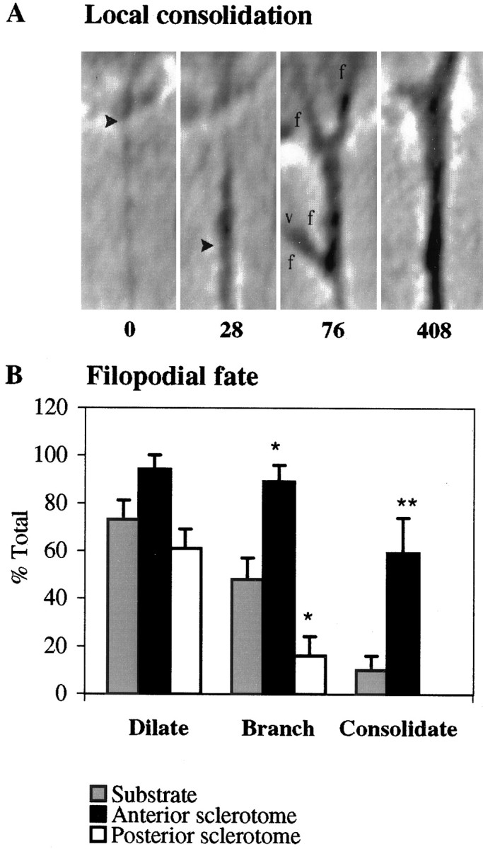 Fig. 9.