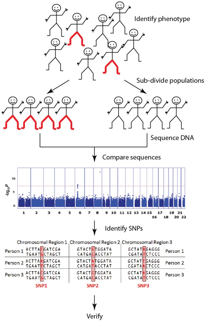 FIGURE 1