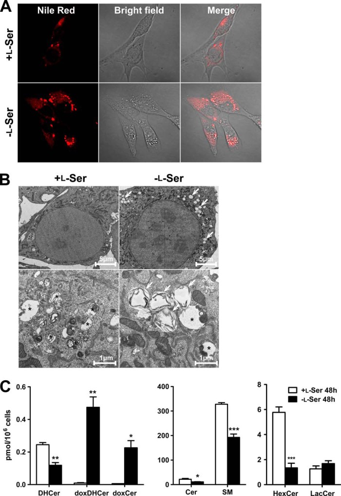 FIGURE 10.