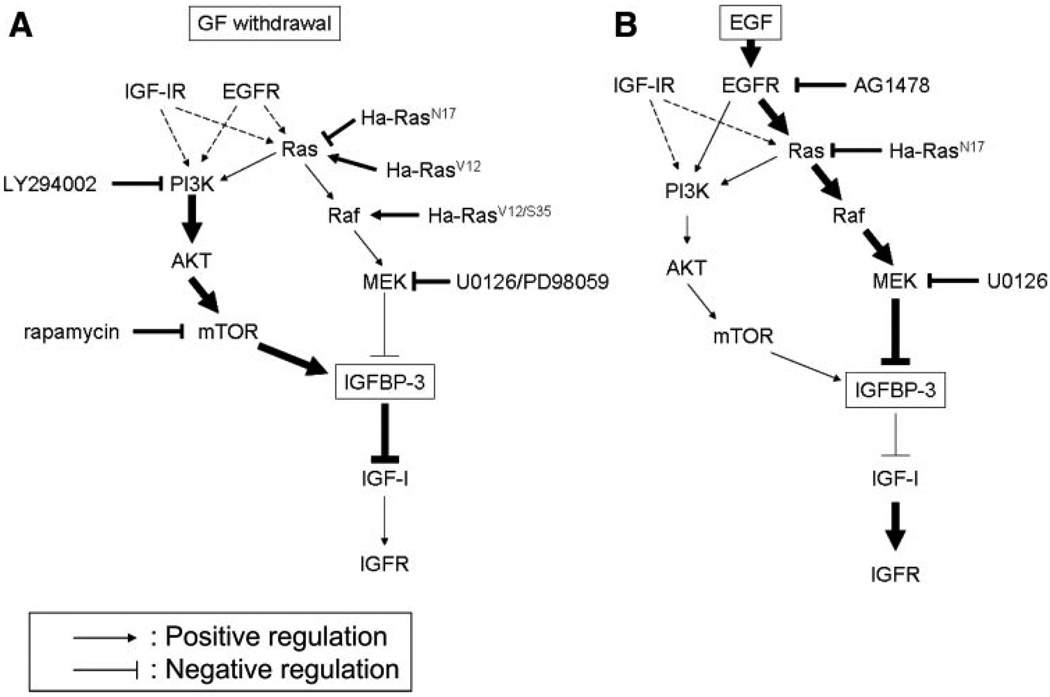 Fig. 11