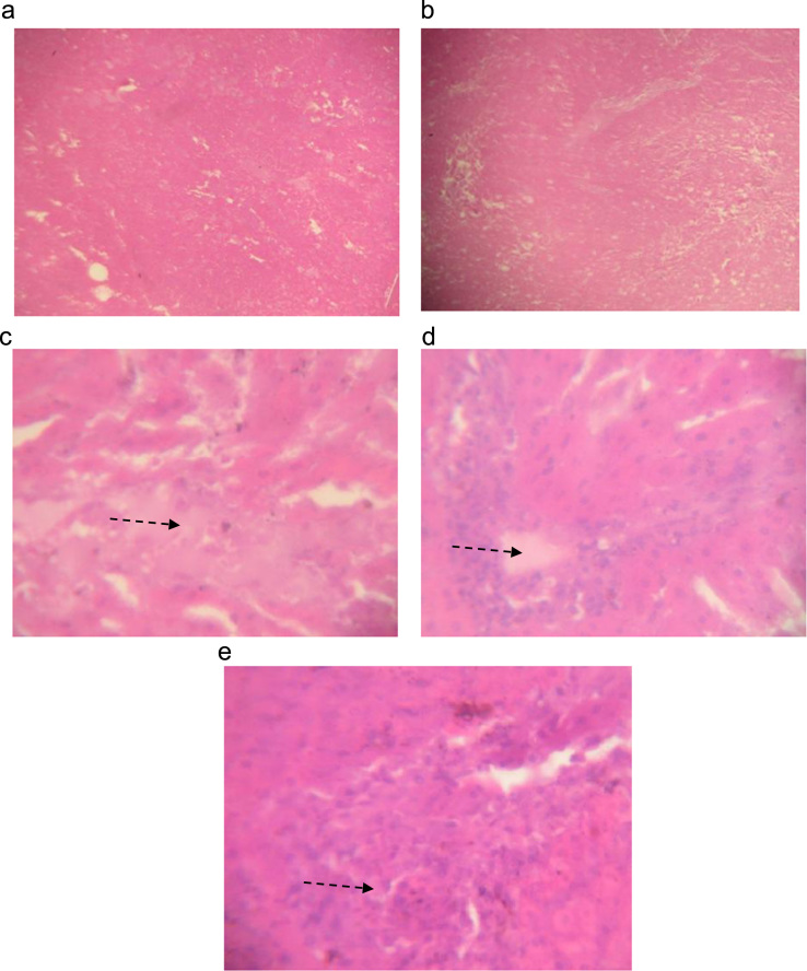 Fig. 5