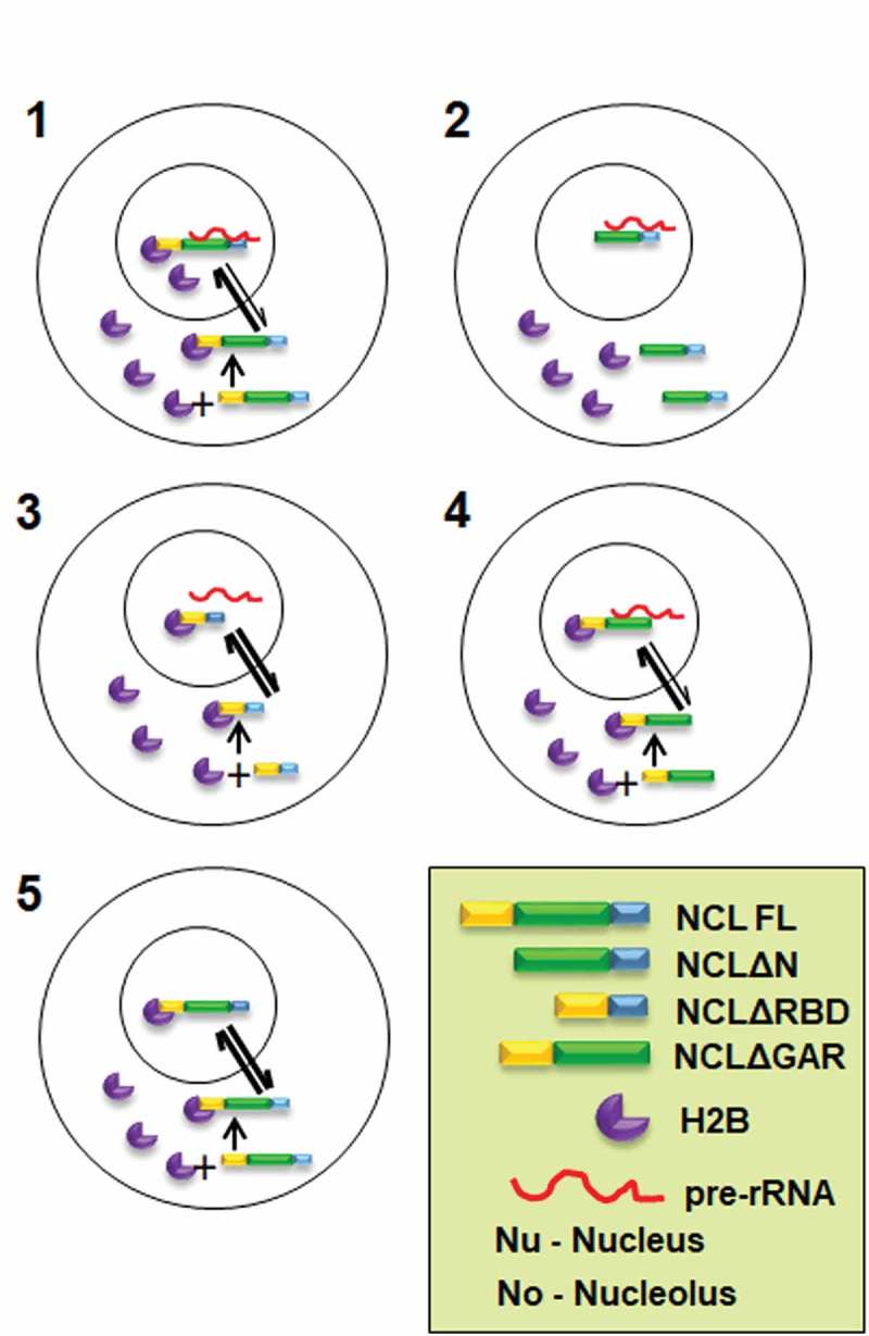 Figure 7.