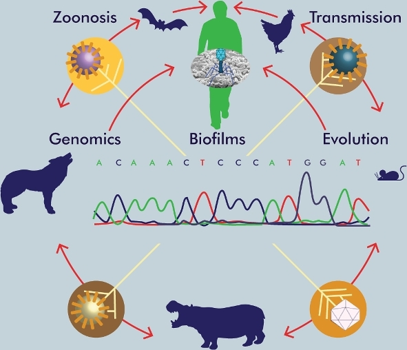 Graphical Abstract Figure.