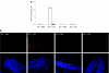 <b>Figure 3</b>