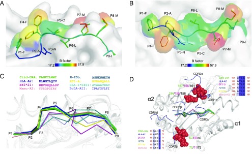 FIGURE 9.