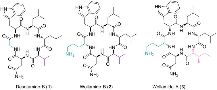 Fig. 1