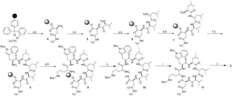 Scheme 2