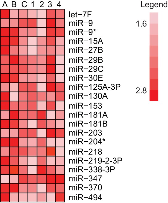 Figure 1—figure supplement 1.