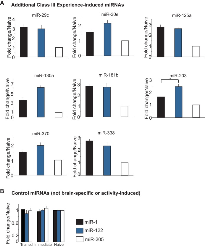 Figure 2—figure supplement 1.